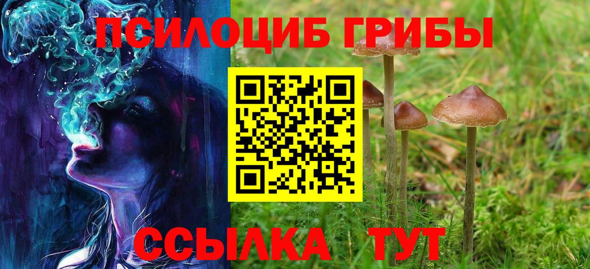 Псилоцибиновые грибы Cubensis  Вход с VPN  Галлюциногенные грибы Magic Shrooms  Рузаевка 