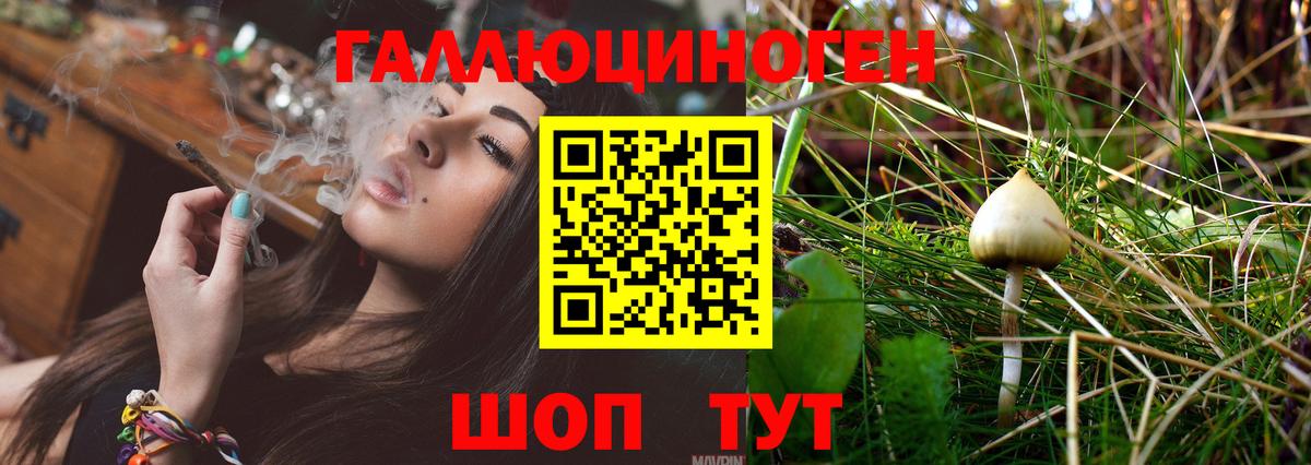 Псилоцибиновые грибы MAGIC MUSHROOMS Рузаевка